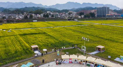 “以花為媒” 打造春日消費新場景